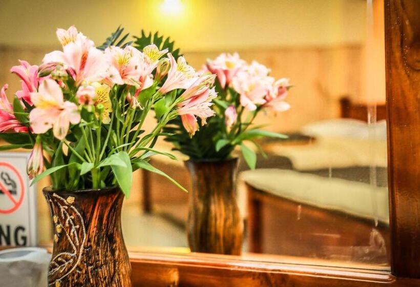 豪华家庭房间, Himawari Hills