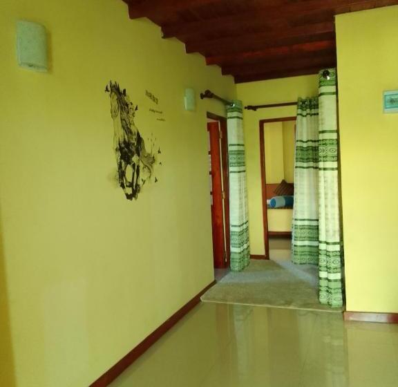 豪华房间, Himawari Hills