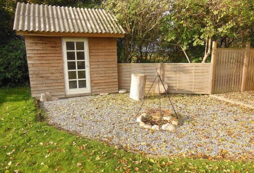 شقة غرفة واحدة, Nyager Apartments