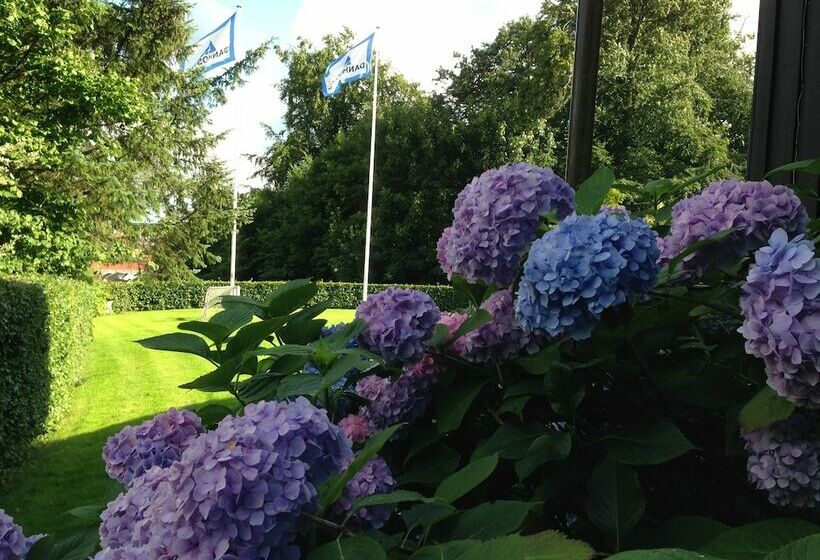 スタンダード4人部屋, Danhostel Kolding