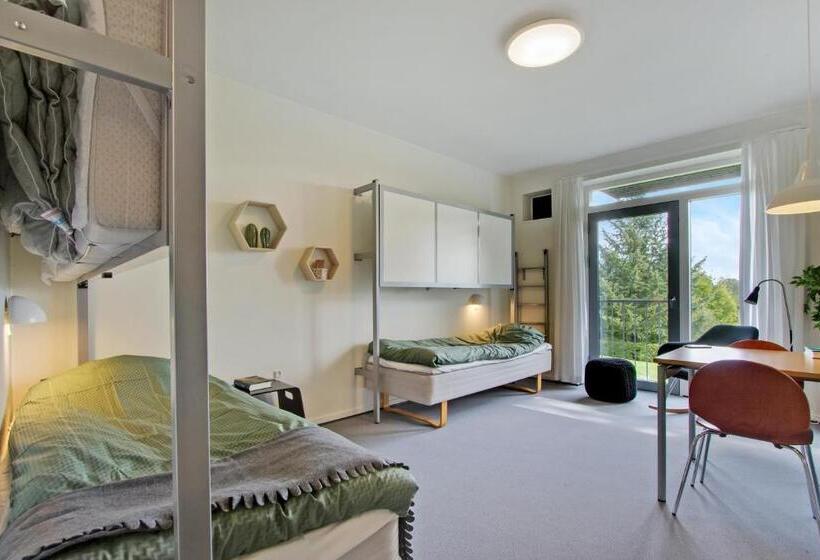 スタンダード4人部屋, Danhostel Kolding