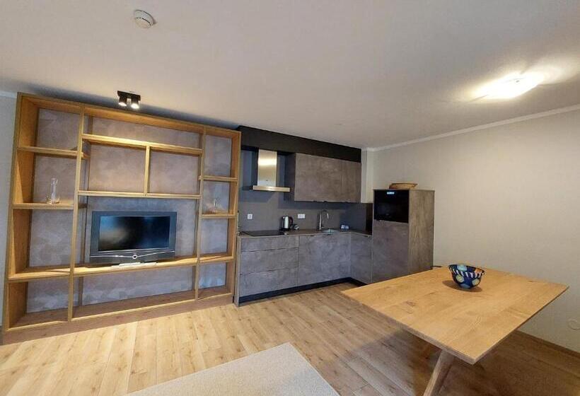 آپارتمان 1 خوابه با بالکن, Avenida Style Appartements by Alpin Rentals