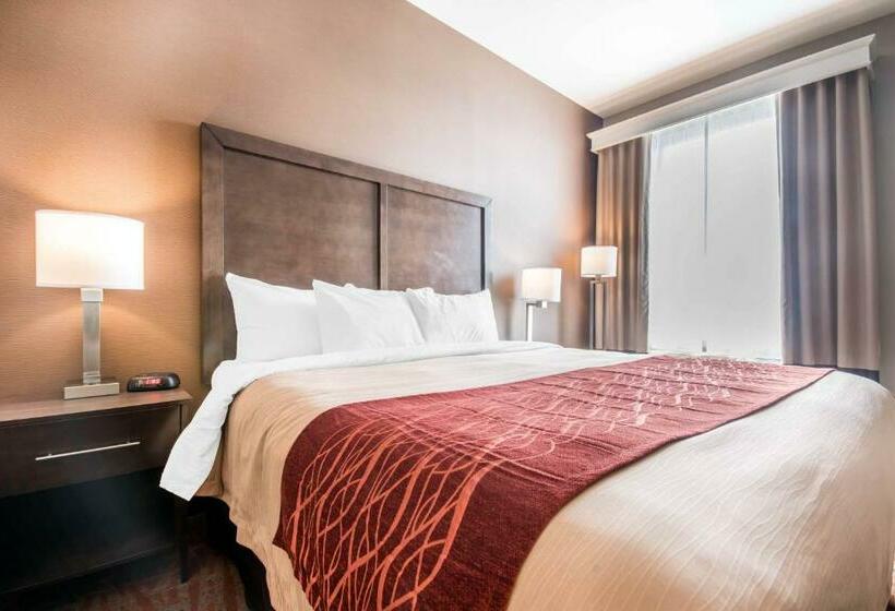 غرفة قياسية سرير كينج, Comfort Inn & Suites Merritt