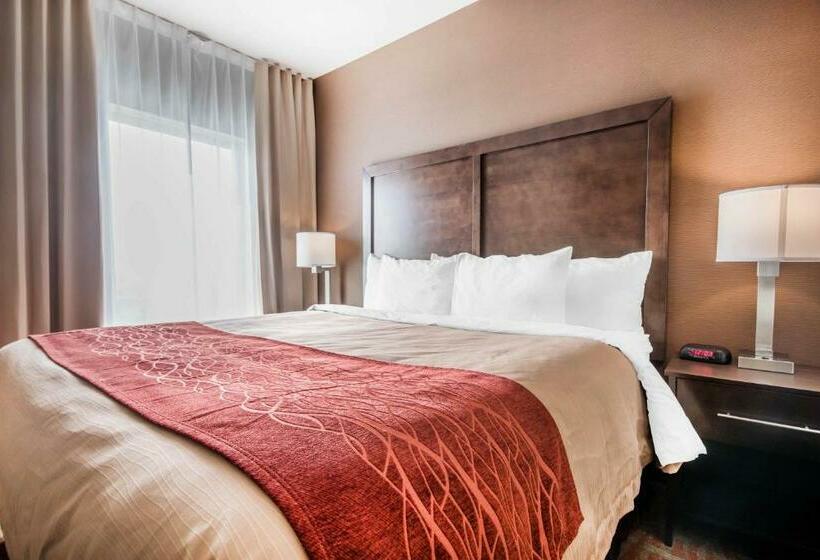 جناح سرير كينج, Comfort Inn & Suites Merritt
