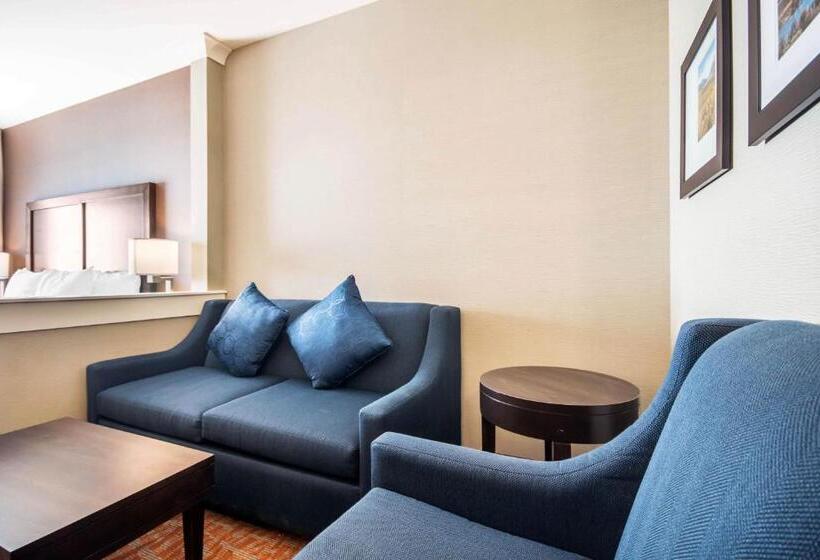 جناح سرير كينج, Comfort Inn & Suites Merritt