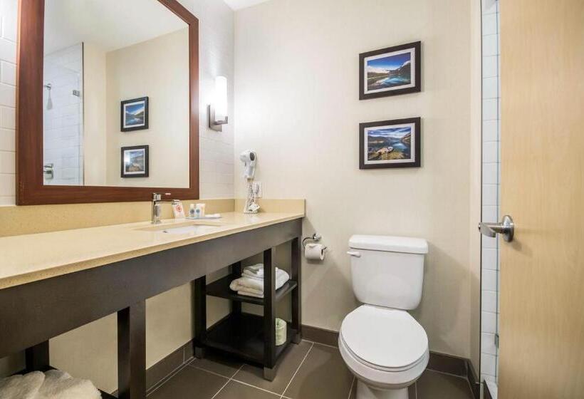 Люкс Кровать Кинг, Comfort Inn & Suites Merritt
