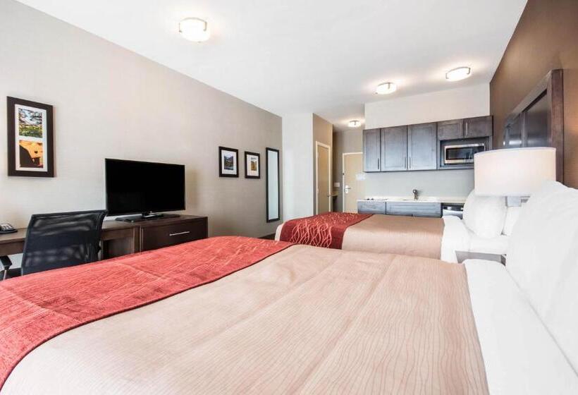 غرفة قياسية, Comfort Inn & Suites Merritt