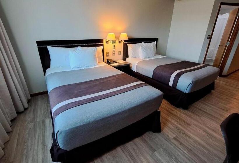 غرفة قياسية, Diego De Almagro Chillan