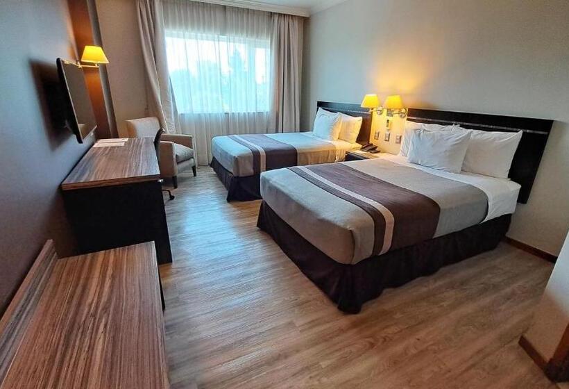 غرفة قياسية, Diego De Almagro Chillan