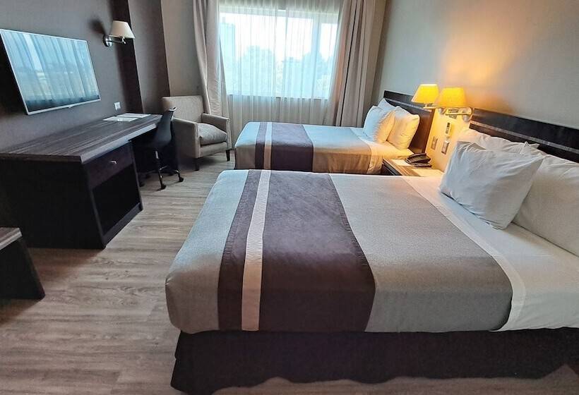 غرفة قياسية, Diego De Almagro Chillan