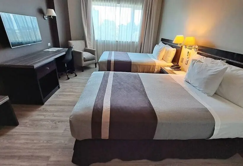 Standard-huone, Diego De Almagro Chillan