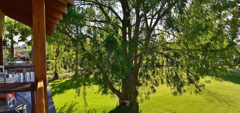 اتاق استاندارد با تخت بزرگ, La Perla