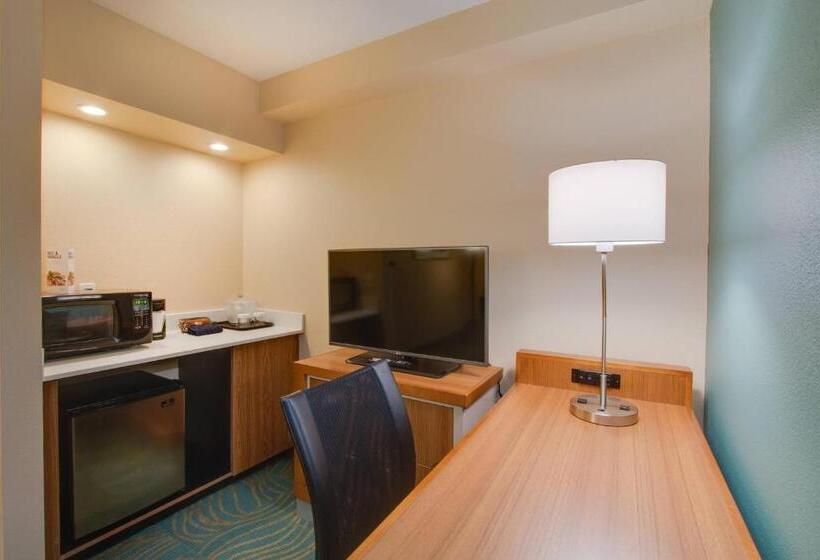 Люкс Кровать Кинг, Springhill Suites By Marriott Orlando Lake Buena Vista South