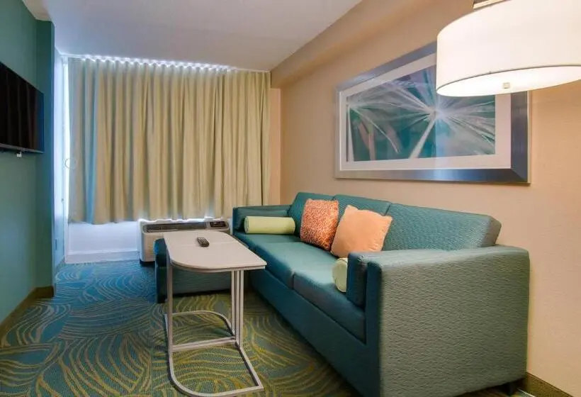 Sviitti King-vuode, Springhill Suites By Marriott Orlando Lake Buena Vista South
