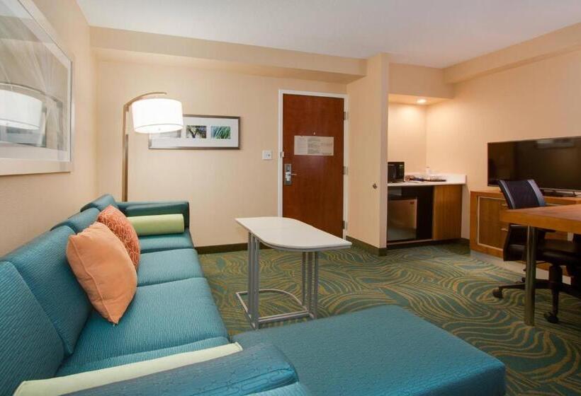 带大床的套房, Springhill Suites By Marriott Orlando Lake Buena Vista South