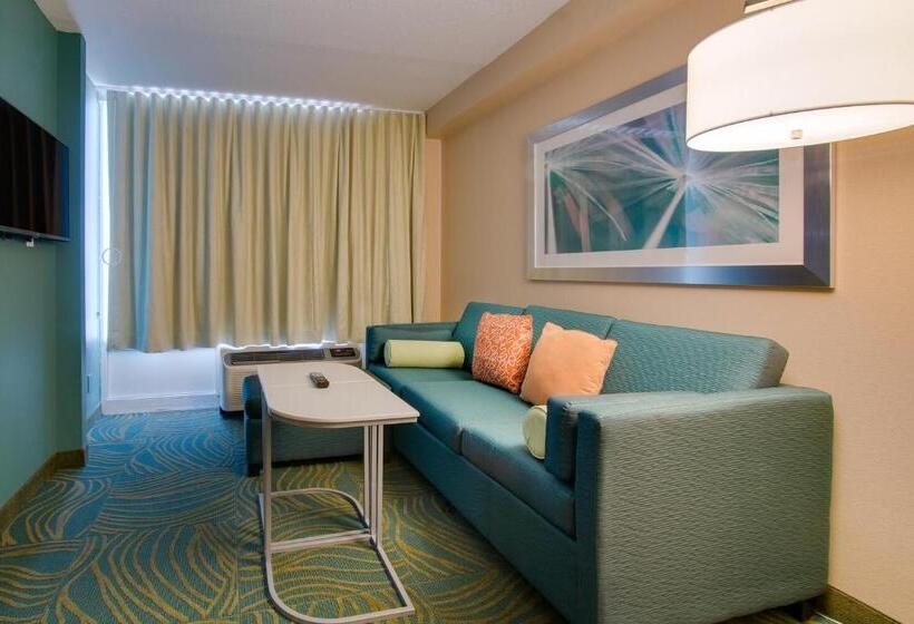 带大床的套房, Springhill Suites By Marriott Orlando Lake Buena Vista South