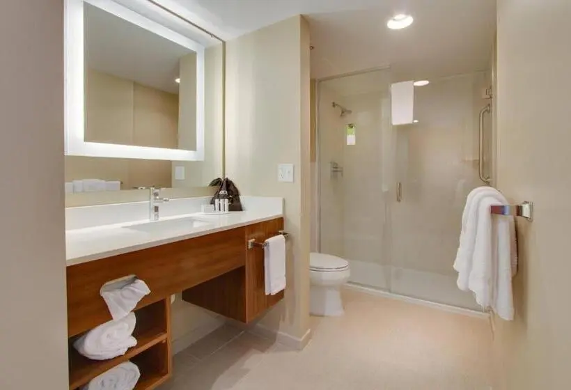 Standard-studio King-vuode, Springhill Suites By Marriott Orlando Lake Buena Vista South
