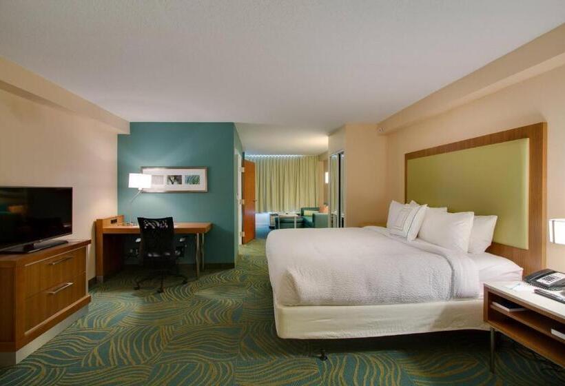 带大床的标准工作室, Springhill Suites By Marriott Orlando Lake Buena Vista South
