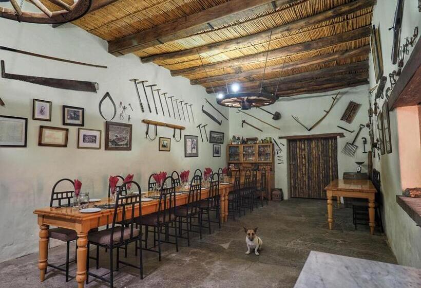 Хижина, Ganora Guest Farm, Camping And Excursions