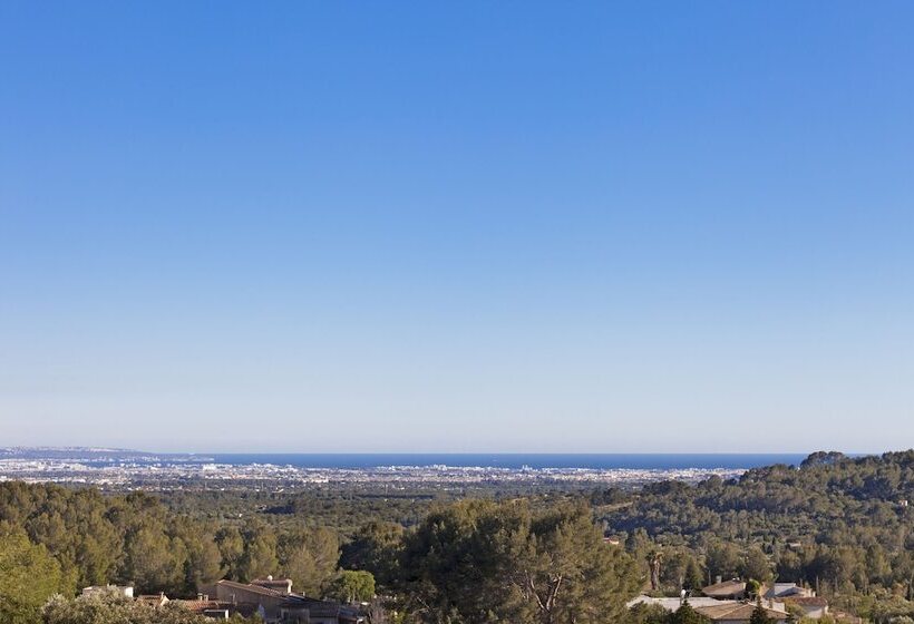 수피리어 테라스 룸, Es Corte Vell  Adults Only