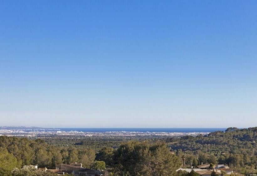 수피리어 테라스 룸, Es Corte Vell  Adults Only