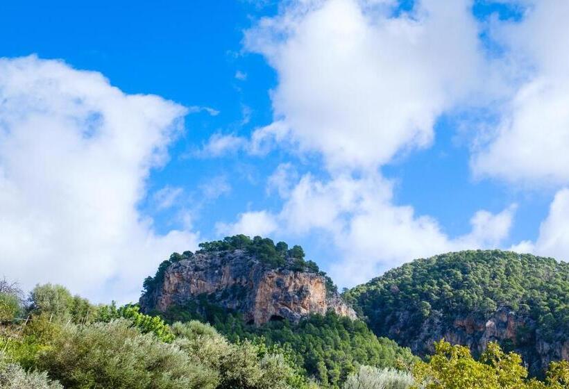 Superior Room with Terrace, Es Corte Vell  Adults Only