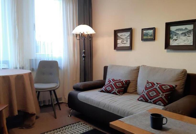带1个卧室的公寓, Resort Kasprowy Wierch