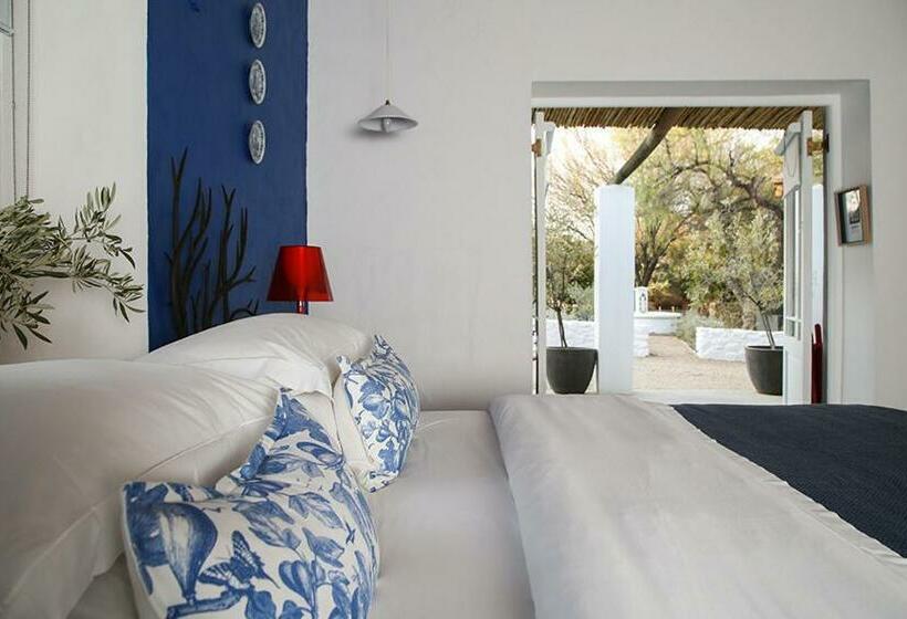 غرفة قياسية, Dennehof Karoo Guesthouse