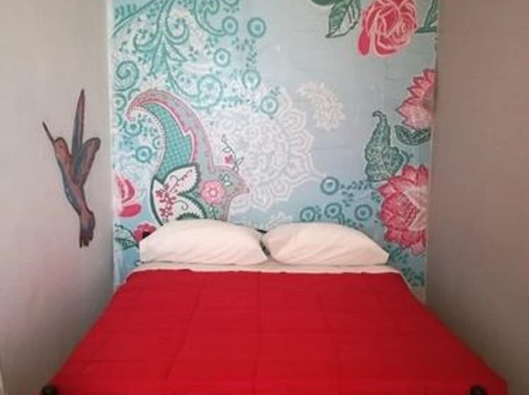 带共用浴室的标准房间, Chile Pepper Hostel