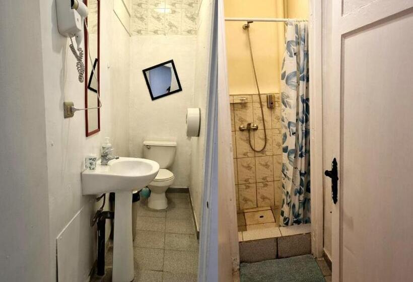 اتاق استاندارد چهار تخته, Escarabajo Hostel   Adults Only