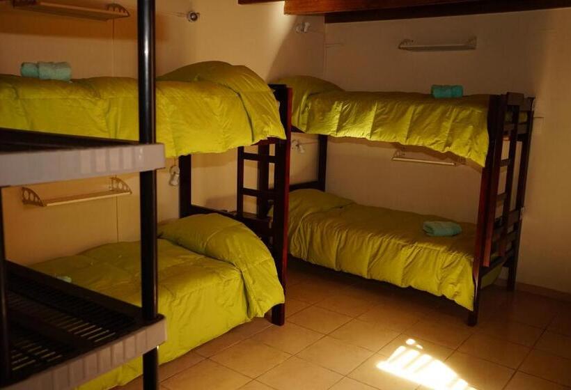 공동 객실, Hostal Mamatierra