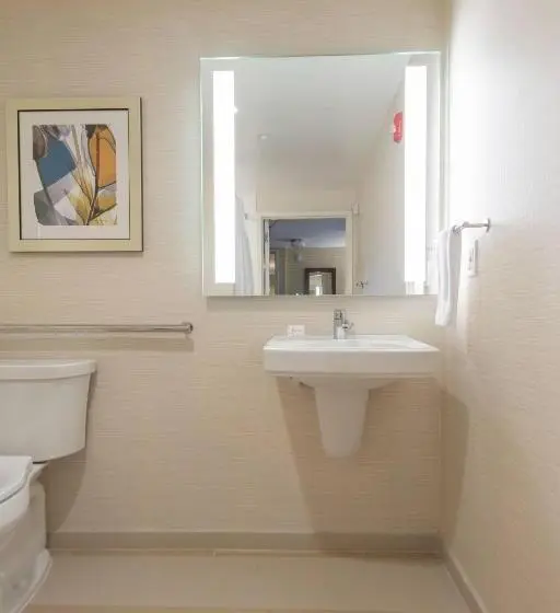 キングサイズベッドのスタンダードルーム, Fairfield Inn & Suites By Marriott New York Queens/fresh Meadows