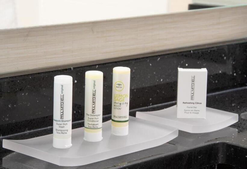 Номер Стандарт 2 Двуспальные Кровати, Fairfield Inn & Suites By Marriott New York Queens/fresh Meadows