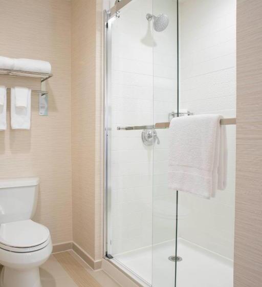 Номер Стандарт Кровать Кинг Адаптированный для Инвалидов, Fairfield Inn & Suites By Marriott New York Queens/fresh Meadows