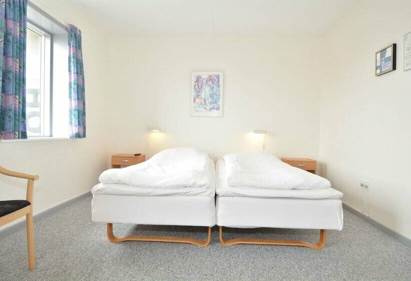 Camera Standard, Hvide Sande