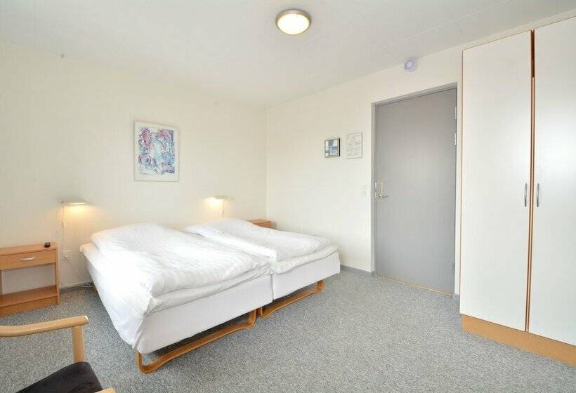 Camera Standard, Hvide Sande