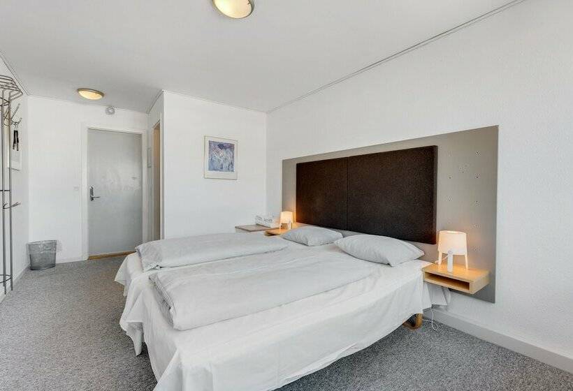 Camera Standard, Hvide Sande