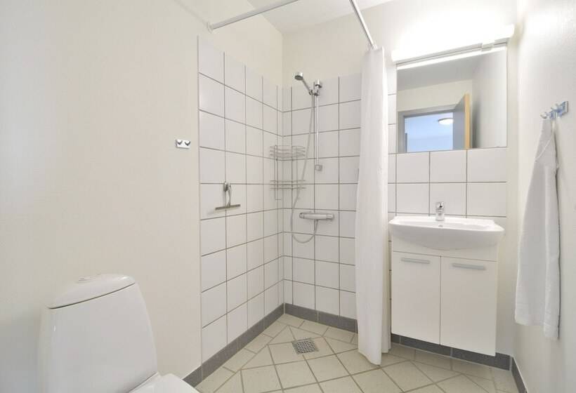 Camera Standard, Hvide Sande