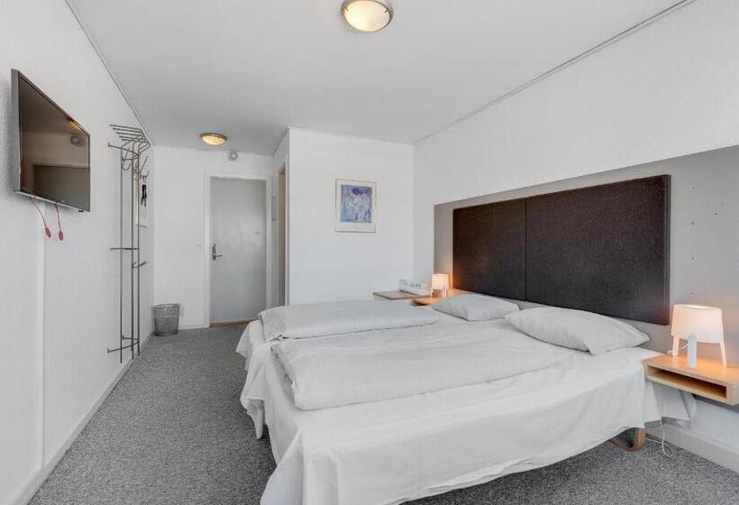 Camera Standard, Hvide Sande