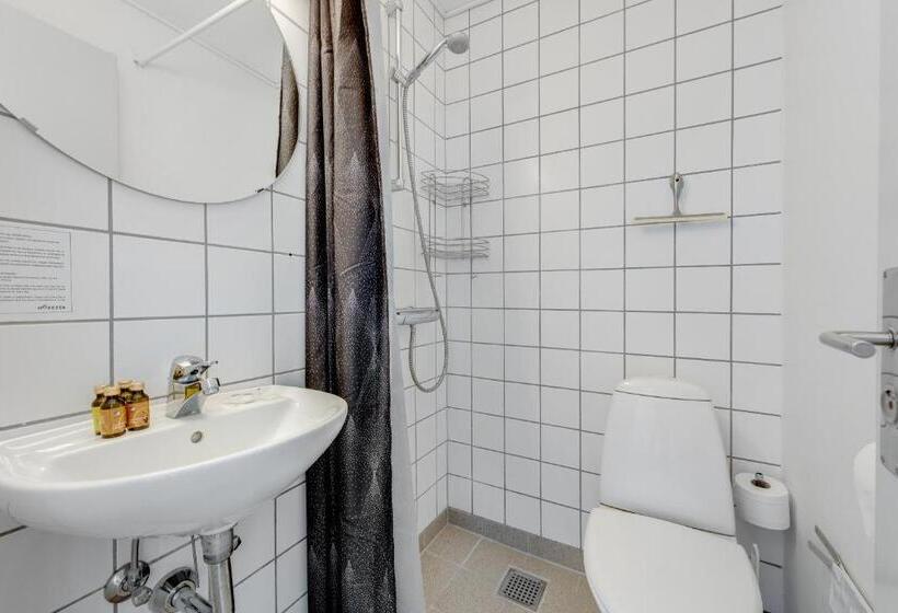 Camera Standard, Hvide Sande