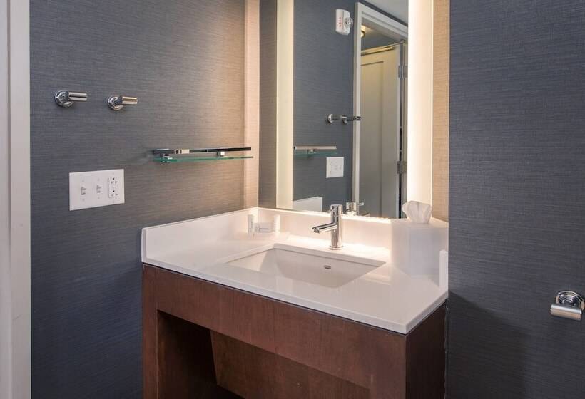 带2个卧室的套房, Residence Inn By Marriott Baltimore At The Johns Hopkins Medical Campus