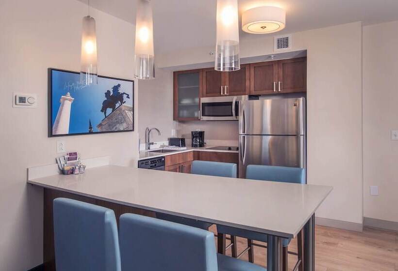 带2个卧室的套房, Residence Inn By Marriott Baltimore At The Johns Hopkins Medical Campus