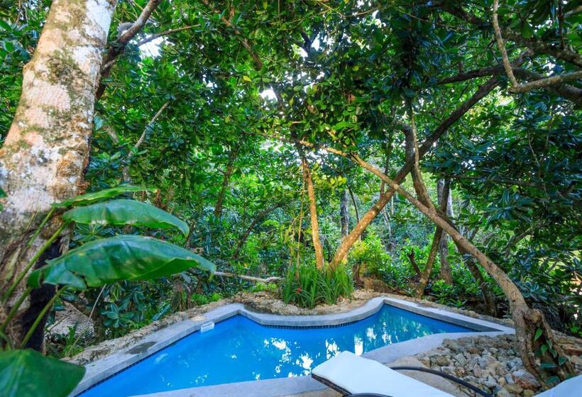 فيلا غرفة نوم واحدة مطلة على الحديقة, Savasi Island Resort