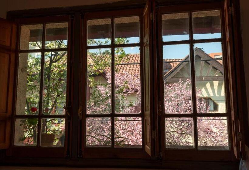 四人标准间, Providencia Bed And Breakfast