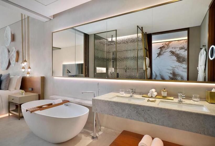 带观景的豪华间, The St. Regis Downtown, Dubai