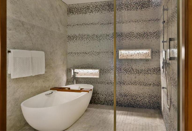 两卧家庭套房, The St. Regis Downtown, Dubai