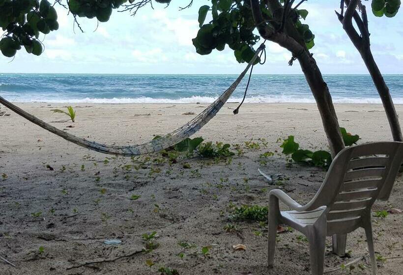 Бунгало Стандарт Вид на Море, Ecolodge Playa Brava Teyumakke