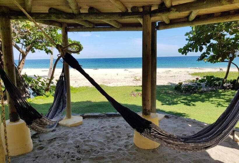 Семейное Бунгало, Ecolodge Playa Brava Teyumakke