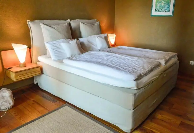 Superior-huone, Bio Und Gesundheitshotel Gutshaus Stellshagen