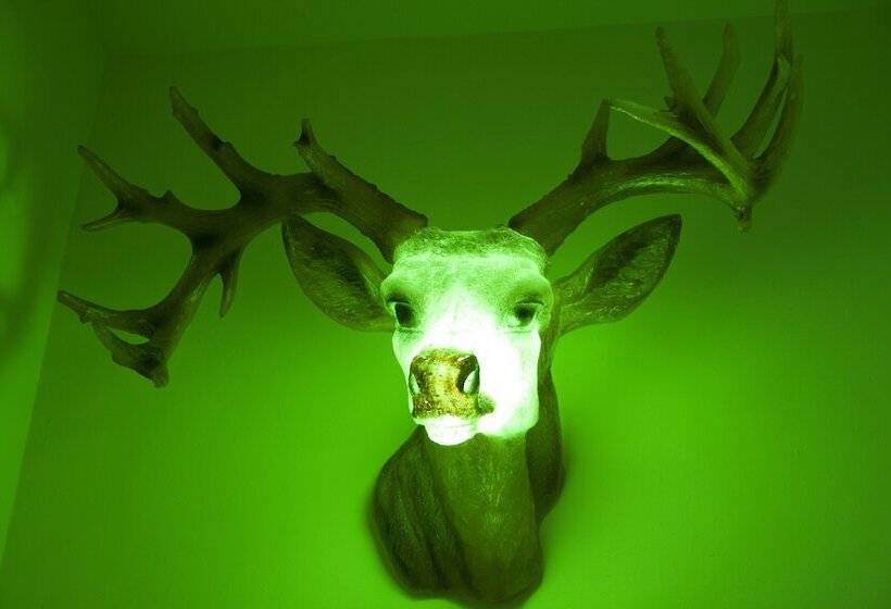 اتاق استاندارد, Agora